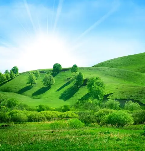 69 ≡资源素材≡ 69 稀有位图下载 69 绿色自然风景   好看的