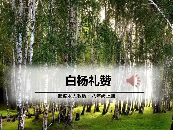 白杨礼赞ppt课件模板