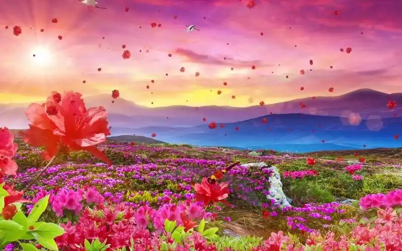 【011】《映山红》视频背景