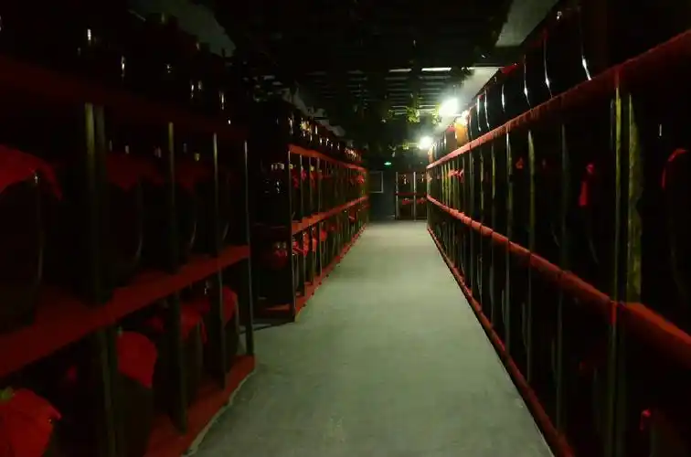 10万人看后都点赞的地下白酒酒窖,难道你不想去看看?