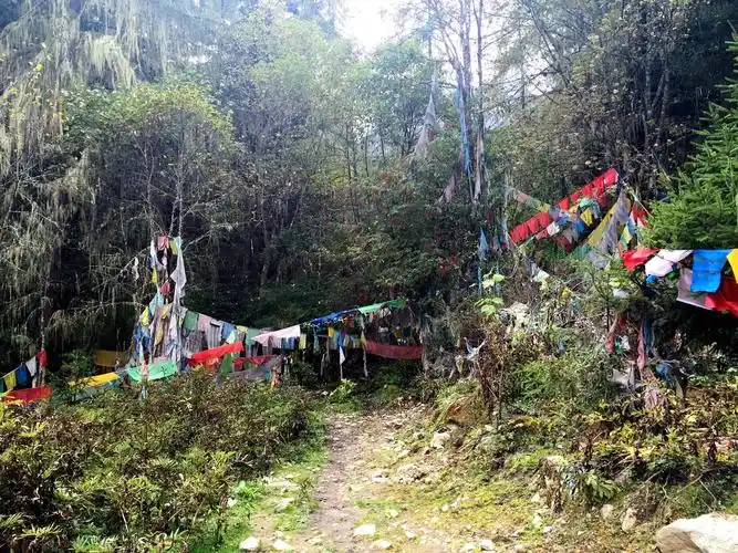 写美篇在波密城南6公里的地方,有一条有些神秘的山沟,叫卓龙沟;顺着卓