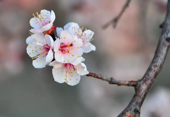 原图欣赏-太平洋摄影部落