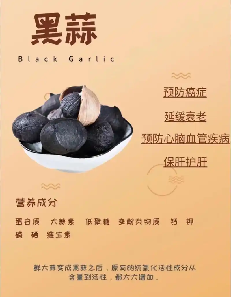98每日养生品分享98  「黑蒜」是功效众广的养生