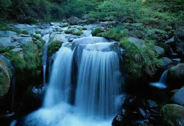11号后有靠山,有贵人,横财大把捞,偏财等你拿,大