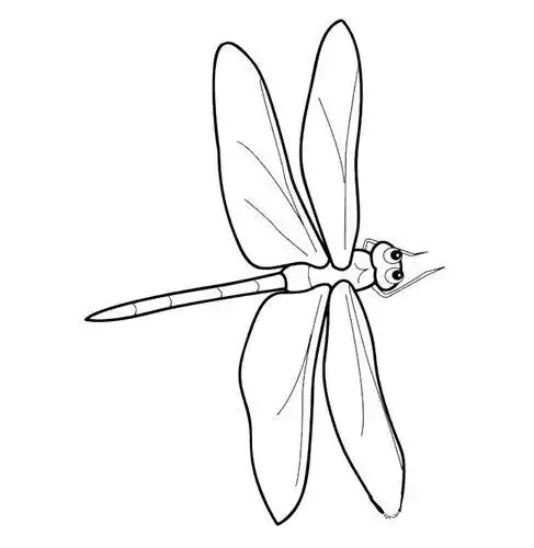 小昆虫简笔画蜻蜓