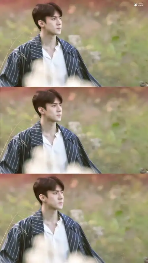 求吴世勋的三格壁纸