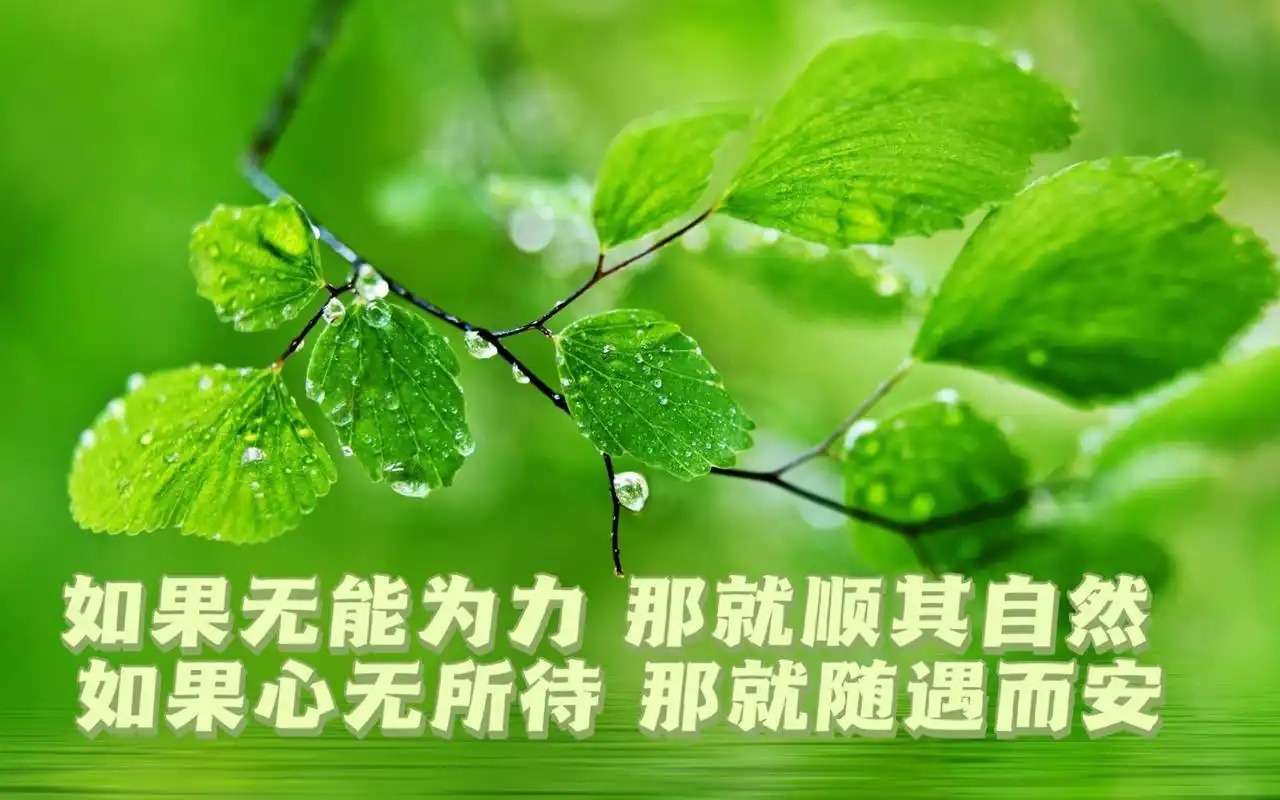 励志经典语录 人生