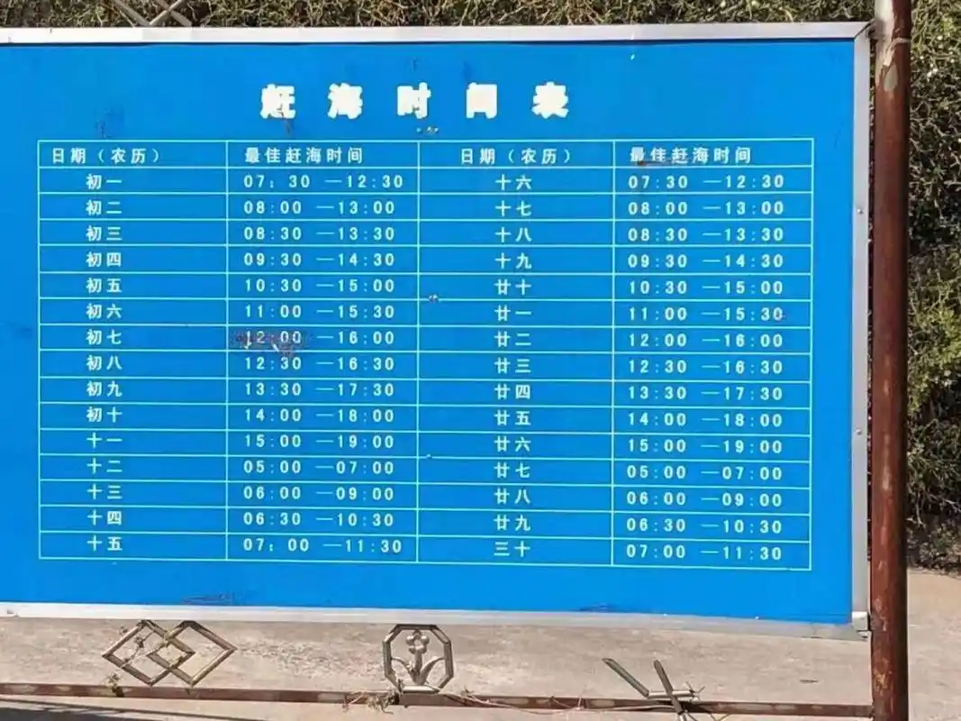 青岛潮汐表赶海时间表【建议收藏】 你喜欢赶海吗?