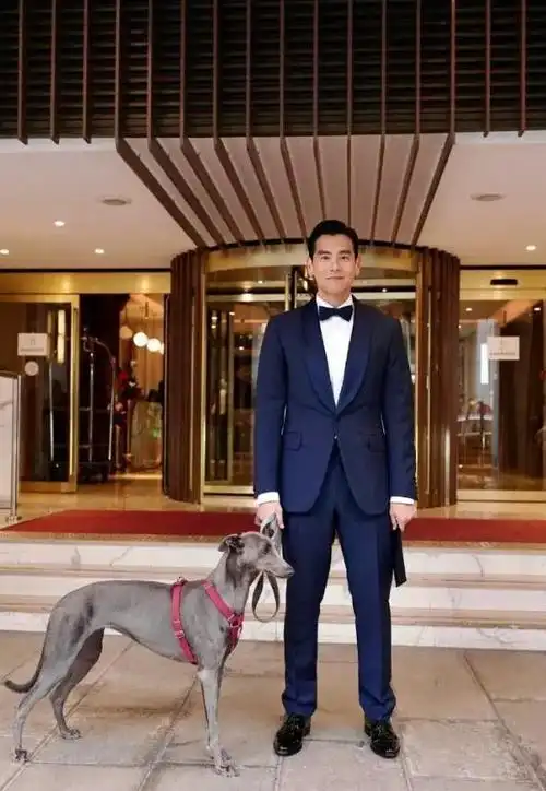 彭于晏的魅力真是难以抗拒,那经典的大背头完美地展现了他的美人尖,让