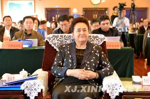 自治区政协副主席热孜万·艾拜出席论坛