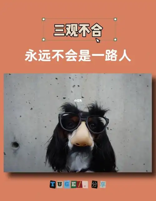 秃哥提醒你三观不合永远不会是一路人