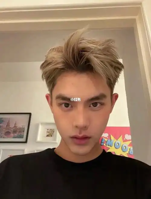 男生亚麻金发色 超级好看 0606