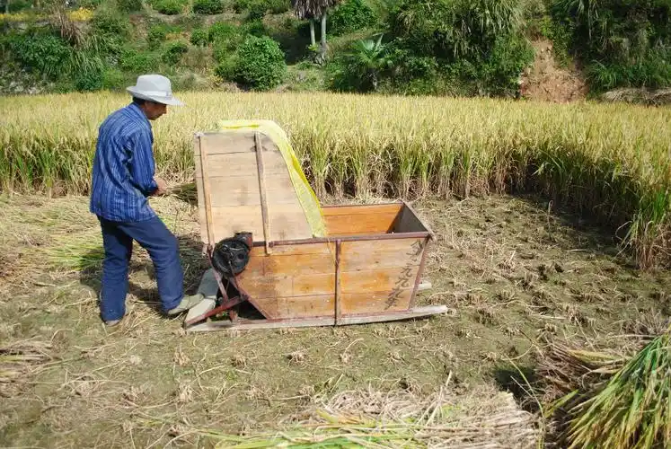 【第四季】来,秀一下你拍到的秋色!