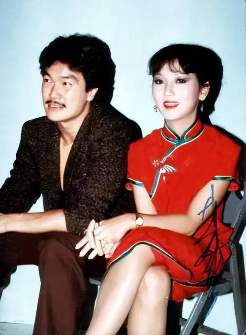 年11月,赵雅芝接拍18集警匪动作剧《女黑侠木兰花》,结识了演员黄锦燊