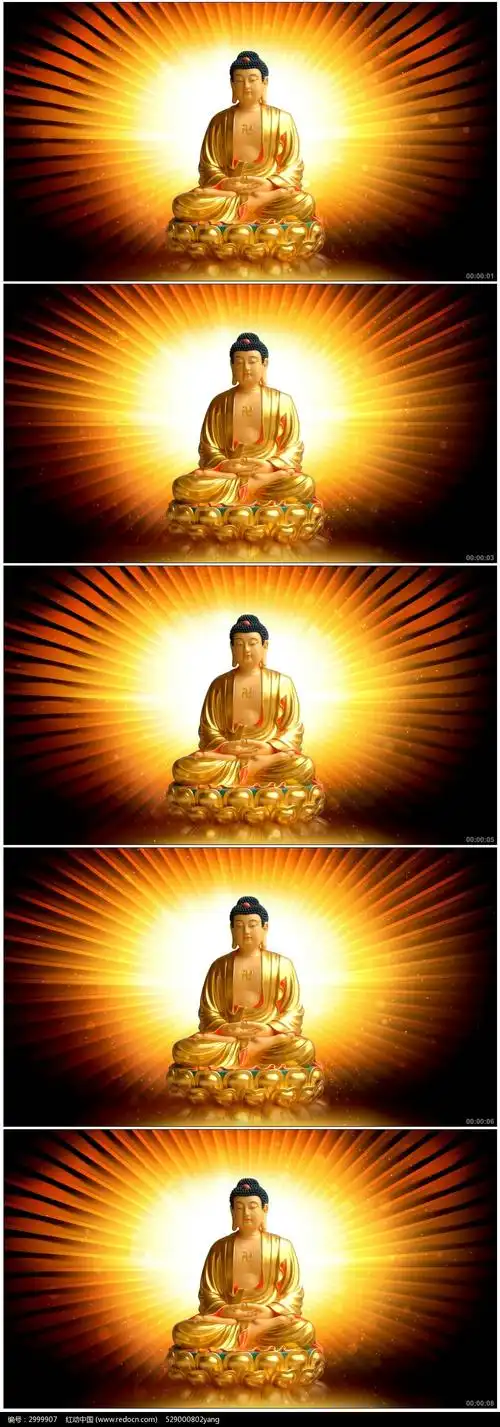 金色佛祖背景视频背景图片素材_红动手机版
