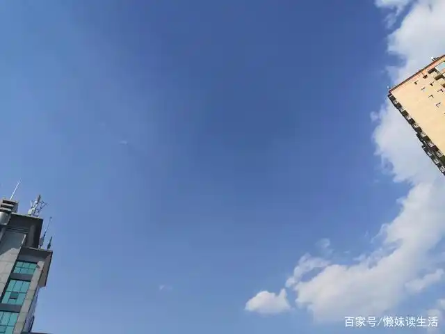 她是春天的颜色:蓝色