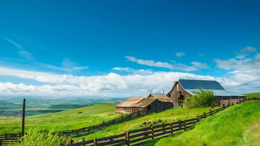 绿色护眼自然风景电脑桌面壁纸图片高清大图预览1920x1080_风景壁纸下