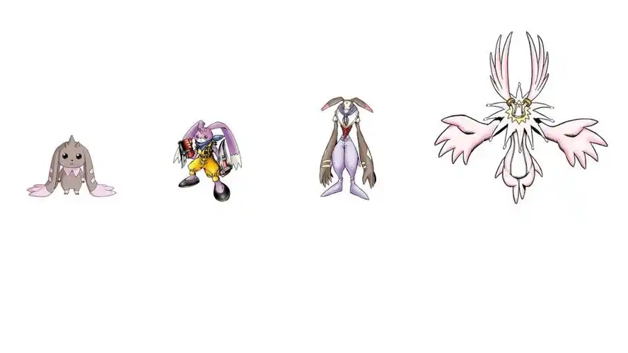 智天使兽,玉兔兽,武兔兽黑大耳兽除了可以进化为智天使兽,也能化为最