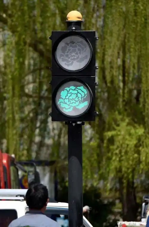 我夸洛阳一千遍也不及你亲自来看一眼