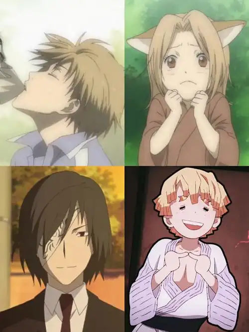 夏目贵志,小狐狸,地场静司我妻善逸,神原秋人,哆啦a梦仪葬屋,白细胞