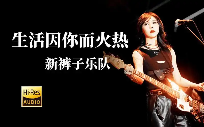 【hi-res无损音质】新裤子乐队《生活因你而火热》无损音质经典歌曲