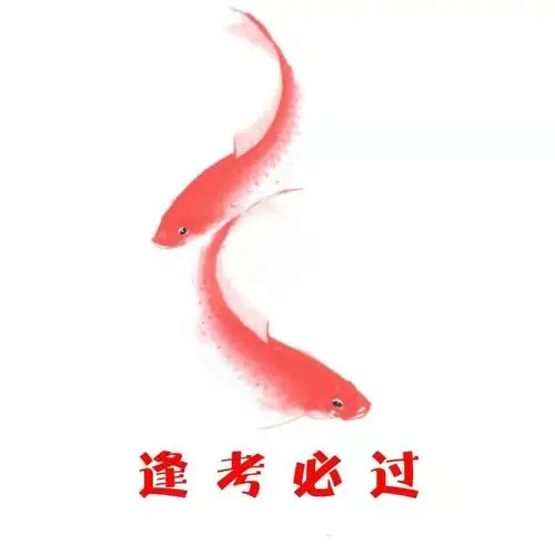 【逢考必过,锦鲤合集】祝所有2021学子好运爆棚,考试大捷!