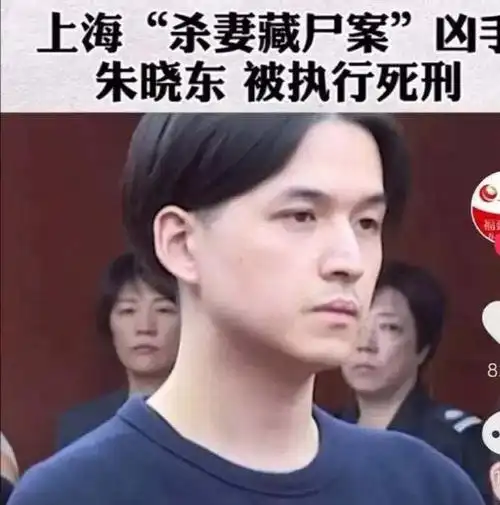近日,"上海冰柜藏妻案"尘埃落定,凶手朱晓东被执行死刑.