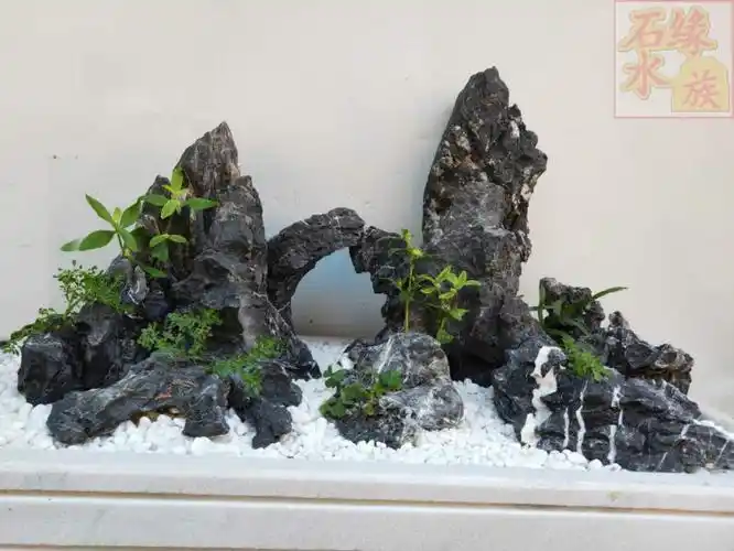 精选青龙石酸洗造景鱼缸装饰小假山山石鱼池制作奇石景造石石青龙酸洗