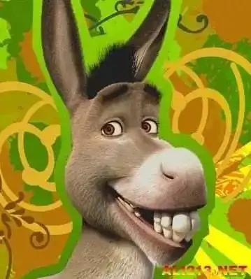 驴子:你不在乎别人怎么看自己,我喜欢这个,我敬佩你这一点,史莱克,你