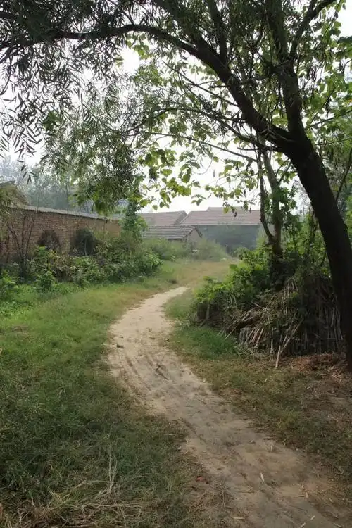 走读十月的徐州乡村秋天的样子原汁原味真美