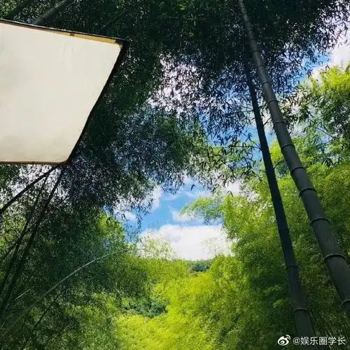 肖战镜头下的雷峰塔