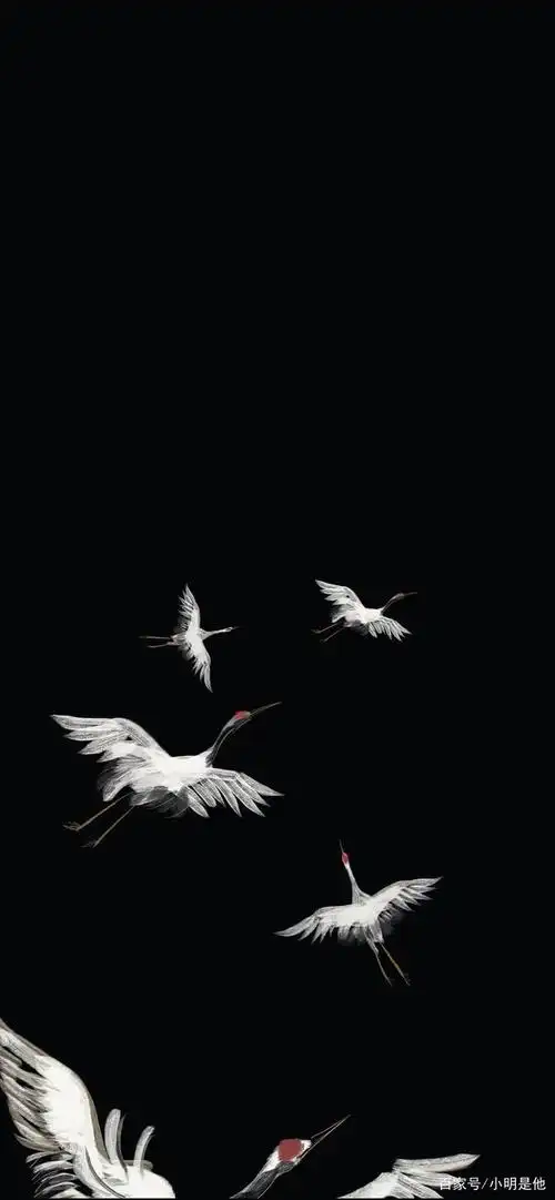 中国风,唯美仙鹤