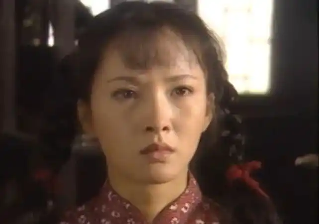 《大宅门》,《小女人》,《玻璃屋里的人》,《雪白血红》,《古村女人》