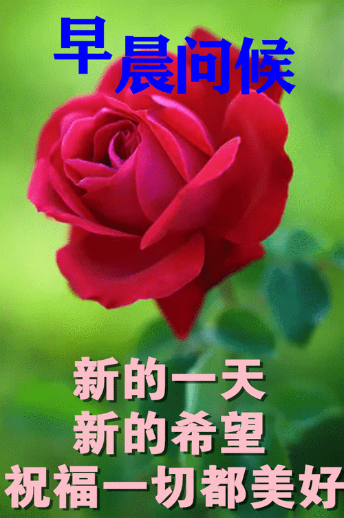 8张最新漂亮早上好问候动态鲜花图片带字 创意唯美夏日早上好问候动画