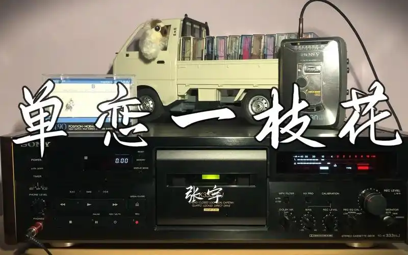 磁带试听 张宇《单恋一枝花》_哔哩哔哩_bilibili