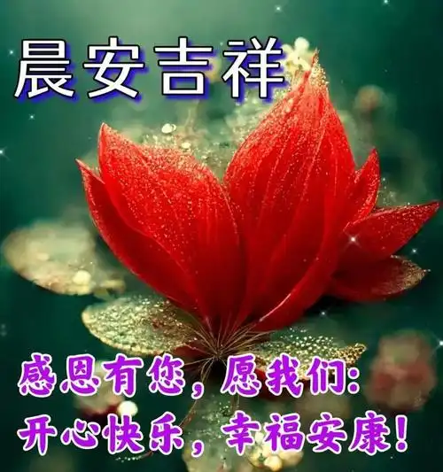 早安图片大全祝平安健康幸福快乐
