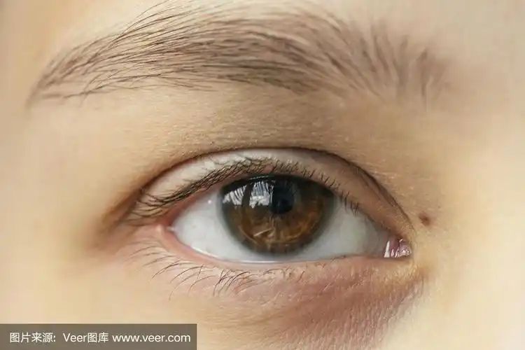 女性棕色眼睛的特写微距镜头