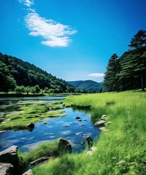 村子里的小河缓缓流淌,河水清澈见底,河边生长着各种各样的野花