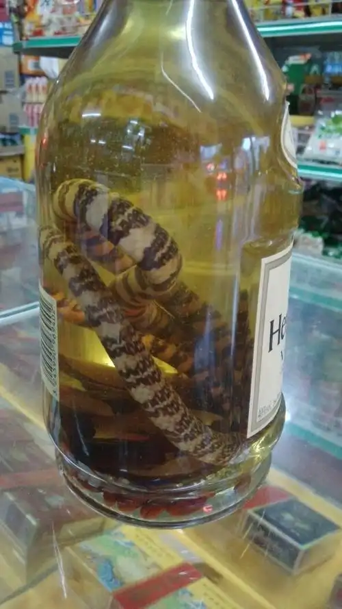 朋友送我一瓶蛇酒,不知道有什么功效?
