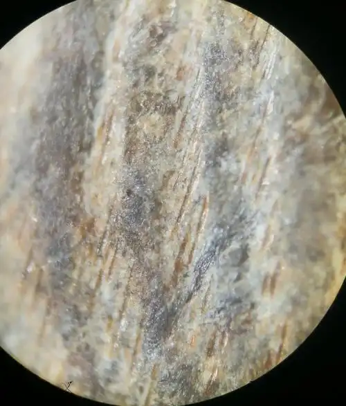 我的第一件良渚文化玉器