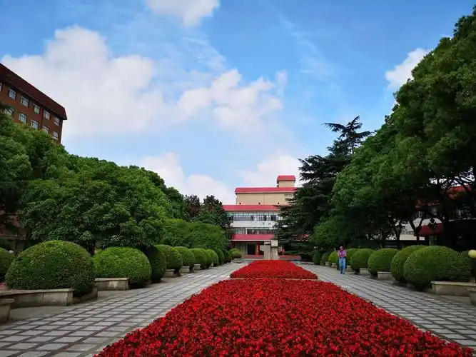 2019.6上海财经大学～校园篇