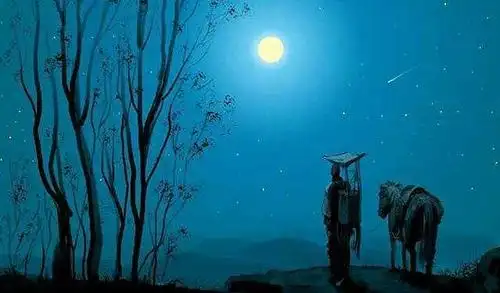 浅夏,隔着雨夜想你 作者//唐半傻