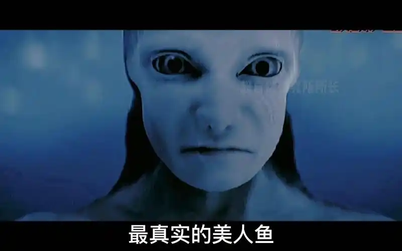 食人鱼可以吃吗的短视频_大全-幸福起航