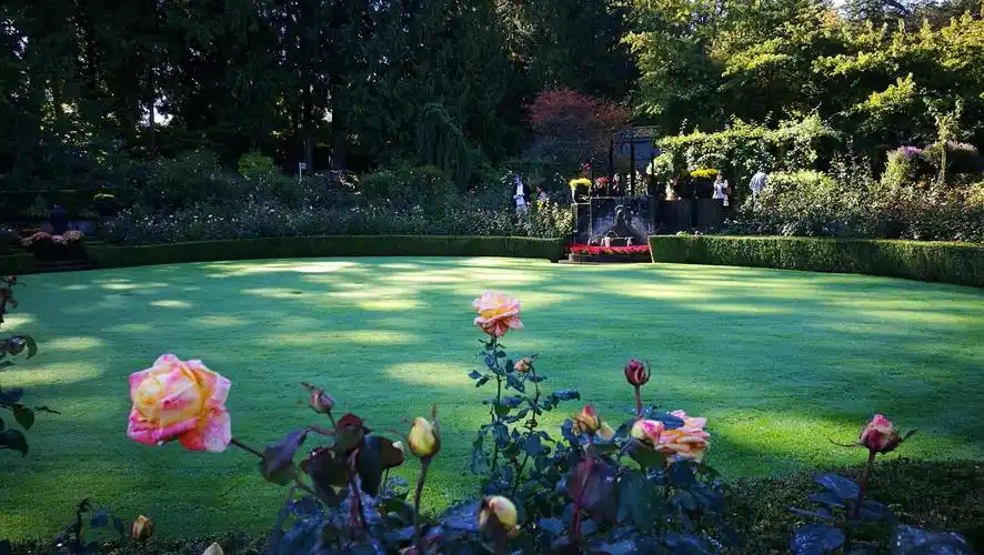 加拿大布查特花园(世界第二知名花园)原创