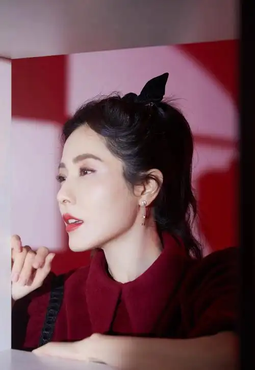 曾黎个人资料简介(45岁仍徘徊在爱情与婚姻之间)