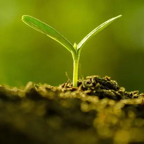 一旁的温客行周子舒在雨中木楞,为之动容.