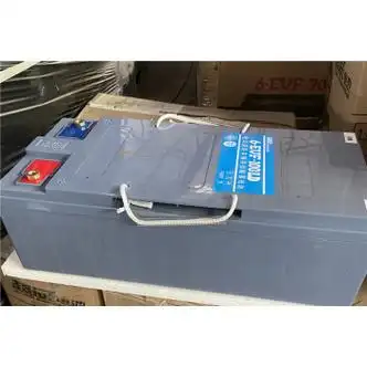 定制定制威蓄电池12v100ah 100d 80d雷丁电动四轮车铅酸电瓶新能源电