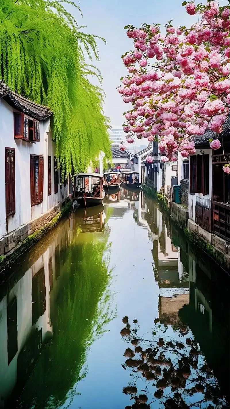 江南水乡美景.雨后蓝天白云,船匠划着小木船,在湖面上留下美丽 - 抖音