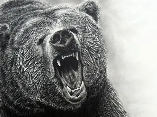 嘶叫的熊黑白绘画手机壁纸图片下载