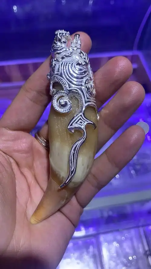 男女保护防裂虎牙吊坠银套狗牙牙齿大号女士项坠